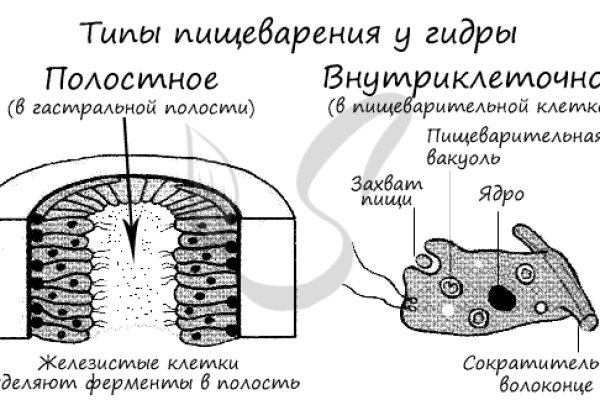 Кракен даркнет зеркало пв