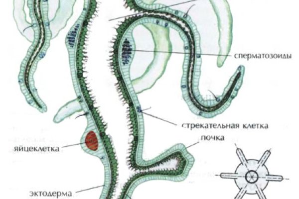 Магазин даркнета