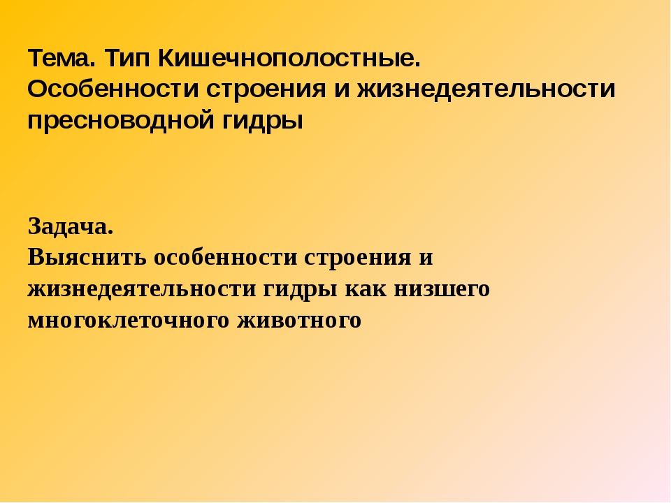 Кракен маркет только через тор