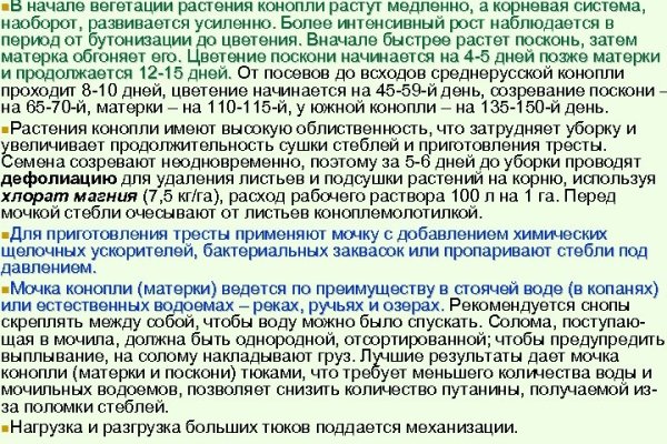 Кракен маркетплейс что продают