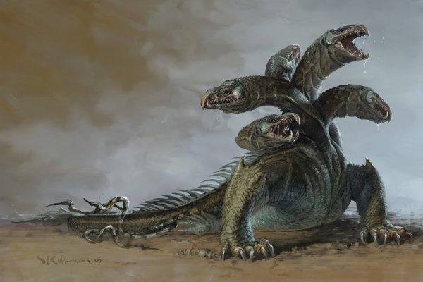Kraken 20at