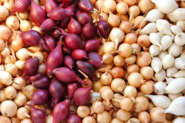 Рабочие ссылки и зеркала кракен