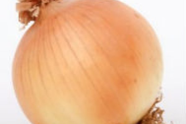 Даркнет официальный сайт вход