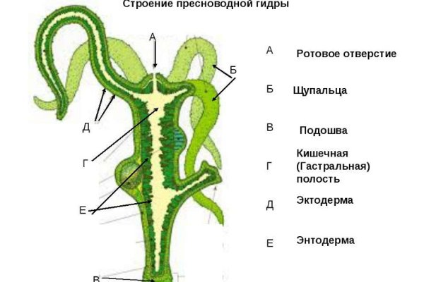 Что такое кракен сайт в россии